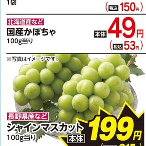 かぼちゃ