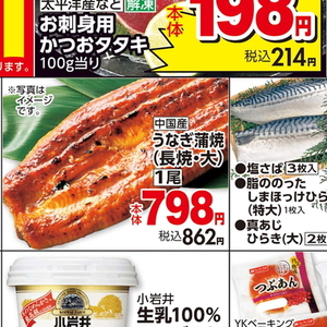 うなぎの蒲焼き