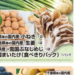 小葱