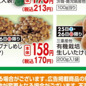 しいたけ