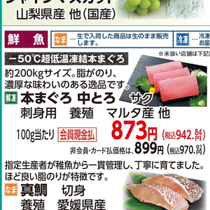 まぐろ中とろ