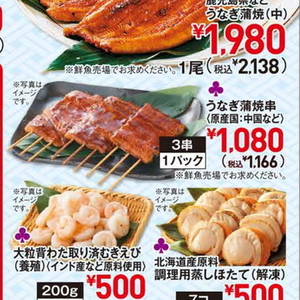 うなぎの蒲焼き