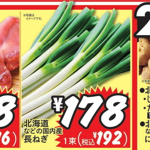 ながねぎ