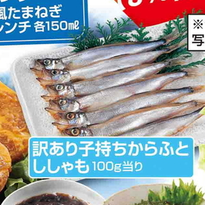 シシャモ