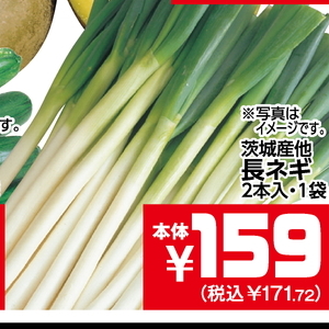 ながねぎ