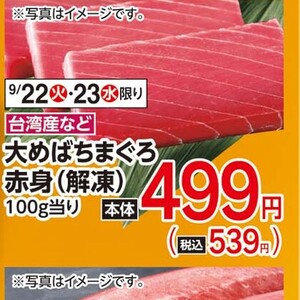 まぐろ赤身