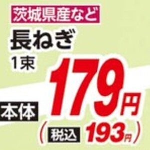 ながねぎ