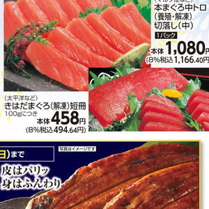まぐろ（さく取り）