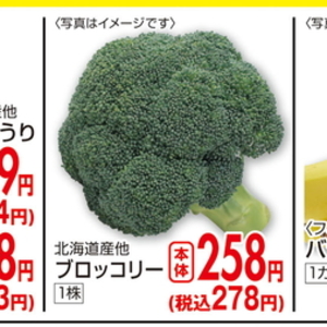 ブロッコリー