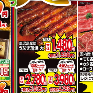 うなぎの蒲焼き