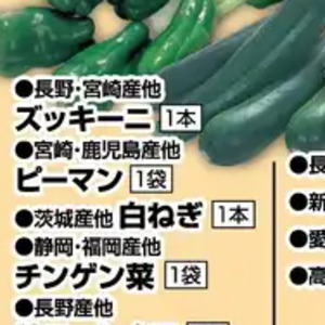 ながねぎ