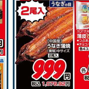 うなぎの蒲焼き