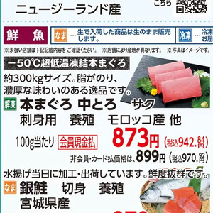 まぐろ中とろ