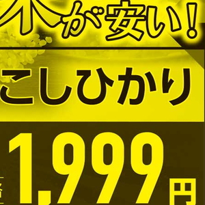 かぼちゃ