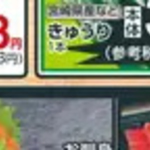 えのき茸