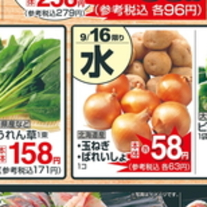 しいたけ