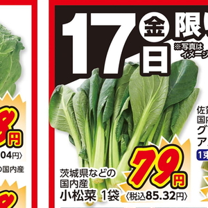 こまつ菜