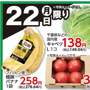 きゃべつ