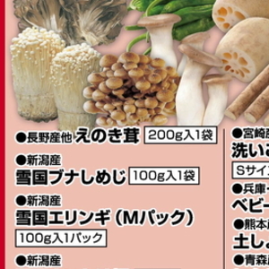 えのき茸