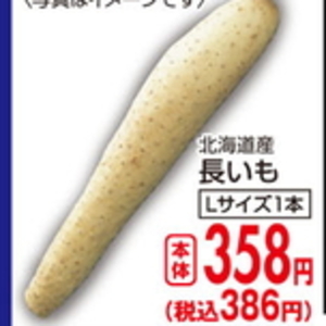 ながいも