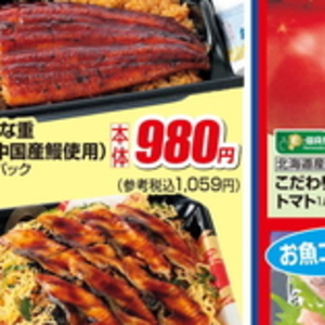 うなぎの蒲焼き