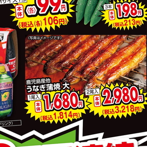 うなぎの蒲焼き