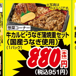 うなぎの蒲焼き