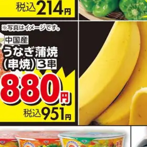 うなぎの蒲焼き