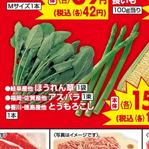 ほうれん草