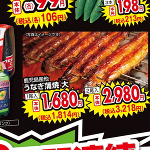 うなぎの蒲焼き
