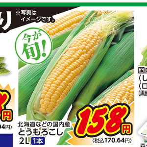 とうもろこし