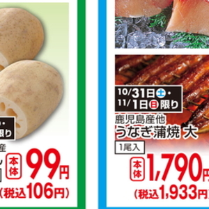 レンコン