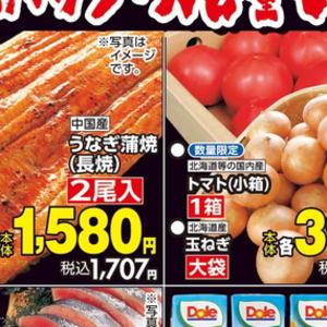 うなぎの蒲焼き