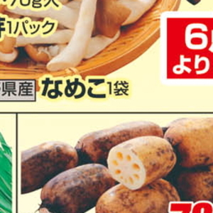 なめこ