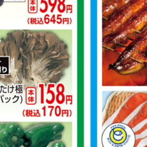 まいたけ