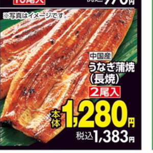 うなぎの蒲焼き