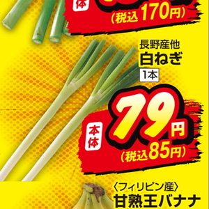 ながねぎ