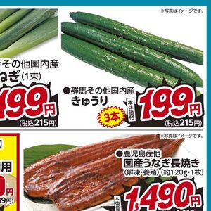 きゅうり