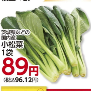 こまつ菜