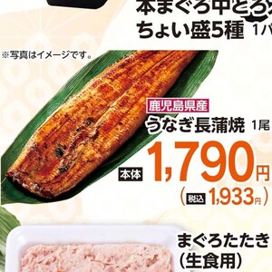 うなぎの蒲焼き