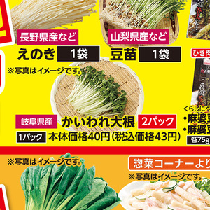 カイワレ大根