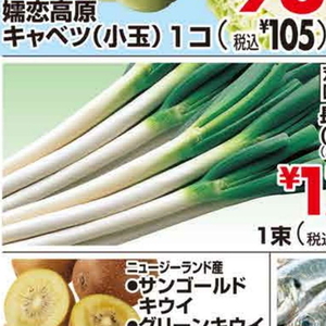 ながねぎ
