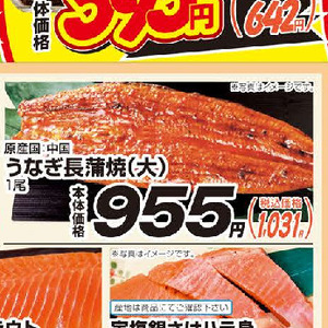 うなぎの蒲焼き