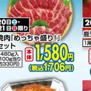 うなぎの蒲焼き