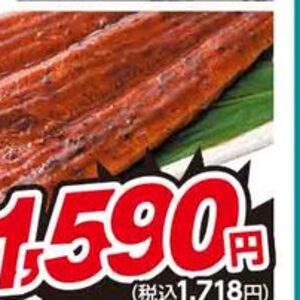 うなぎの蒲焼き