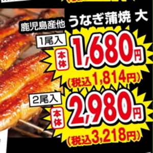 うなぎの蒲焼き