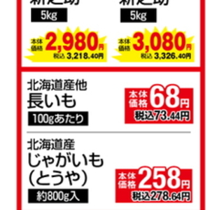 ながいも