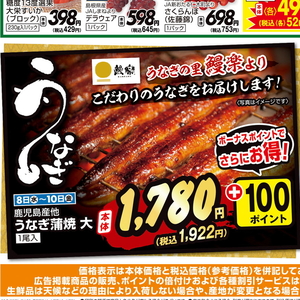 うなぎの蒲焼き