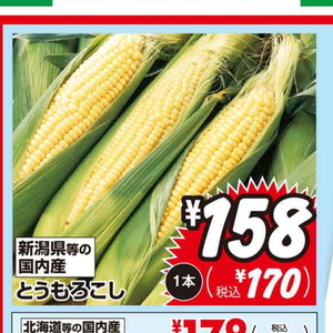 とうもろこし
