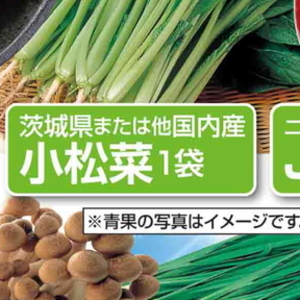 こまつ菜